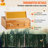 Beekeeping Woodenware