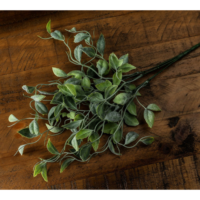 Anastasija Arrangement