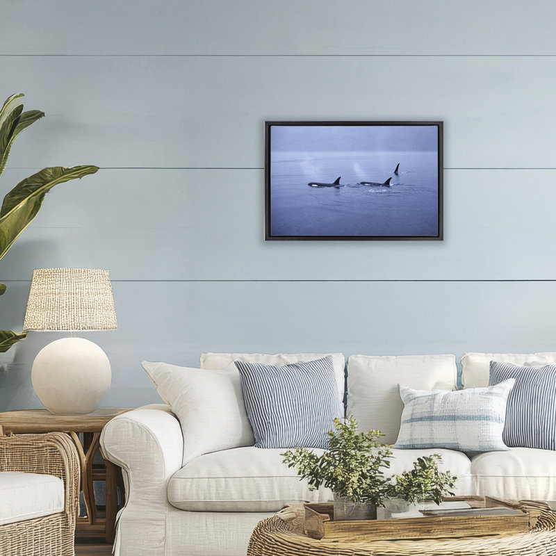 Orca Whispers Seascape Floating Frame, design by Norm Stelfox, Jet Black Floater Frame, 17" H x 25" W