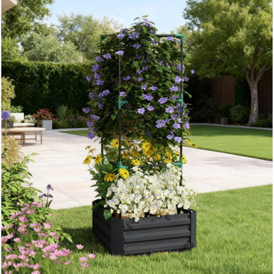 Lit de jardin surélevé, lit de jardin, jardinière galvanisée avec cage pour vignes grimpantes