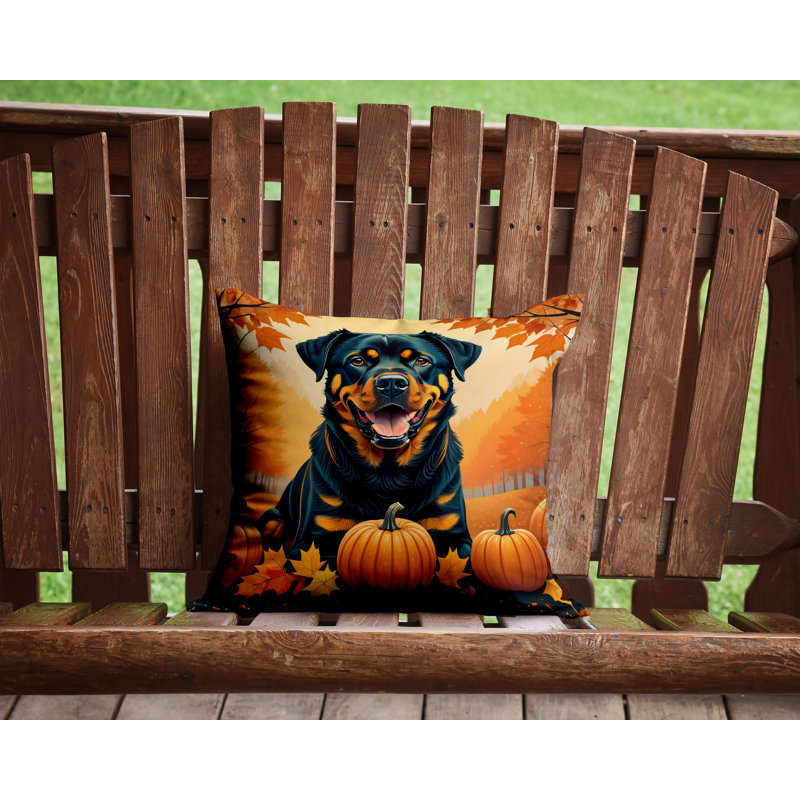 Other/No Pattern Outdoor Throw Pillow, 14" x 14"