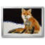 Renard-95906059-95906060