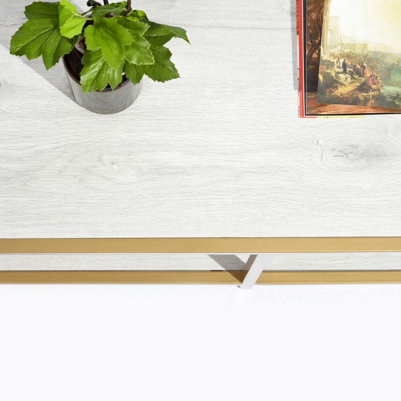 Ferran Coffee Table with Storage