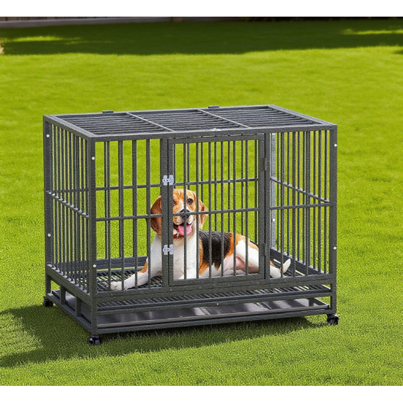 Cage à cage pour chien robuste