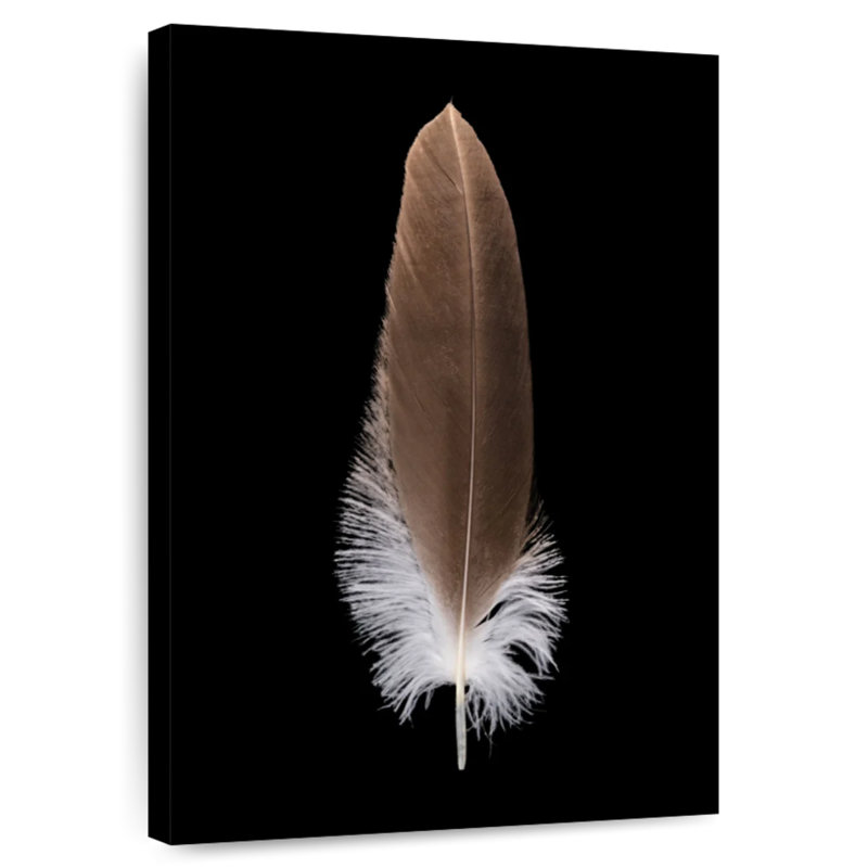 Kerner Eagle's Brown Feather, 24" H x 16" W