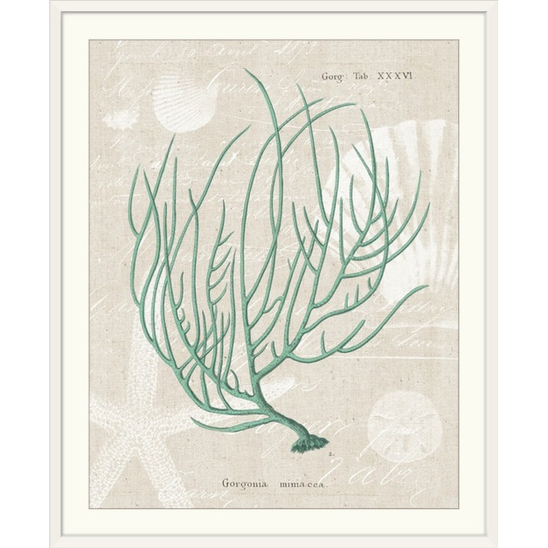 « gorgonia miniacea on linen sea mousse », impression, Cadre blanc, H 23 po x l 20 po x P 1 po