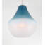 1 luminaire suspendu-113677296
