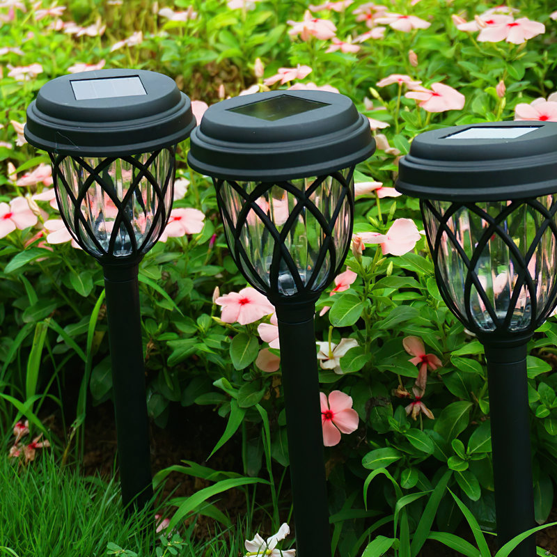 Solar Path Lights