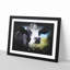 A Cow in the Meadow - Picture Frame Graphic Art Print-56876964-56876967