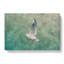 Seagull Painting - Wrapped Canvas-56654260