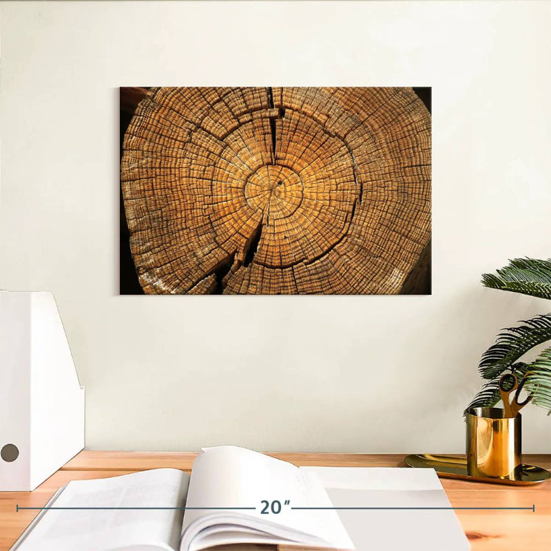 Harnek Tree Stump Rings, 8" H x 12" W