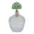 Decorative Glass Stone Metal Jar With Sculpted Fauna Lid Detailing And Textured Transparent Body For Unique Accent Display