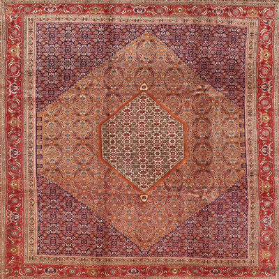 Oriental Indoor Rug