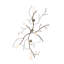 Decicco 5 - Light Chandelier