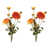 Orange, jaune, vert