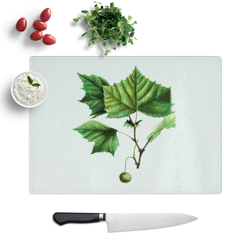 Tempered Glass Sycamore Tree by Pierre-Joseph Redoute Chopping Board, 39 cm W x 28.5 cm L