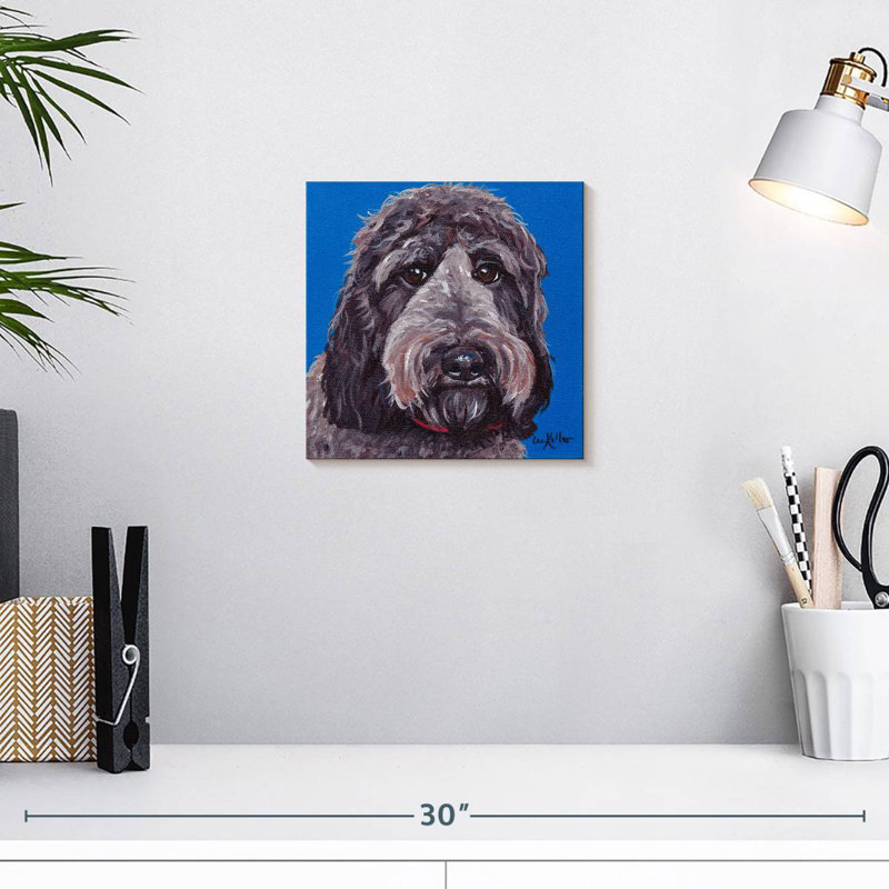 Crowle Labradoodle, H 10 po x l 10 po