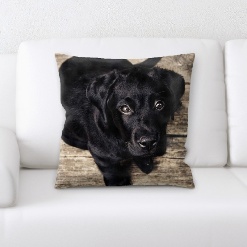 Coussin chiot