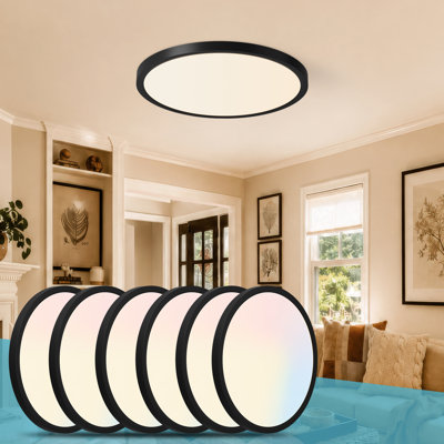 6-Pack 12" Black LED Flush Mount Ceiling Light, Dimmable & 5CCT 2700K/3500K/4000K/5000K/6500K Selectable, 24W, 2880LM,Flush Mount Fixture For Kitchen, Bedroom, Hallway, Porch