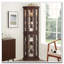 Armoire de coin en verre avec éclairage-1583367850