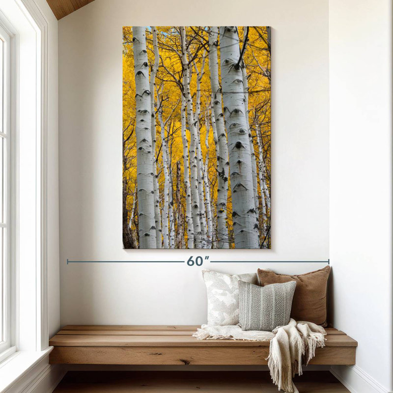 Troncs Alvord Aspen Forest, H 51 po x l 34 po