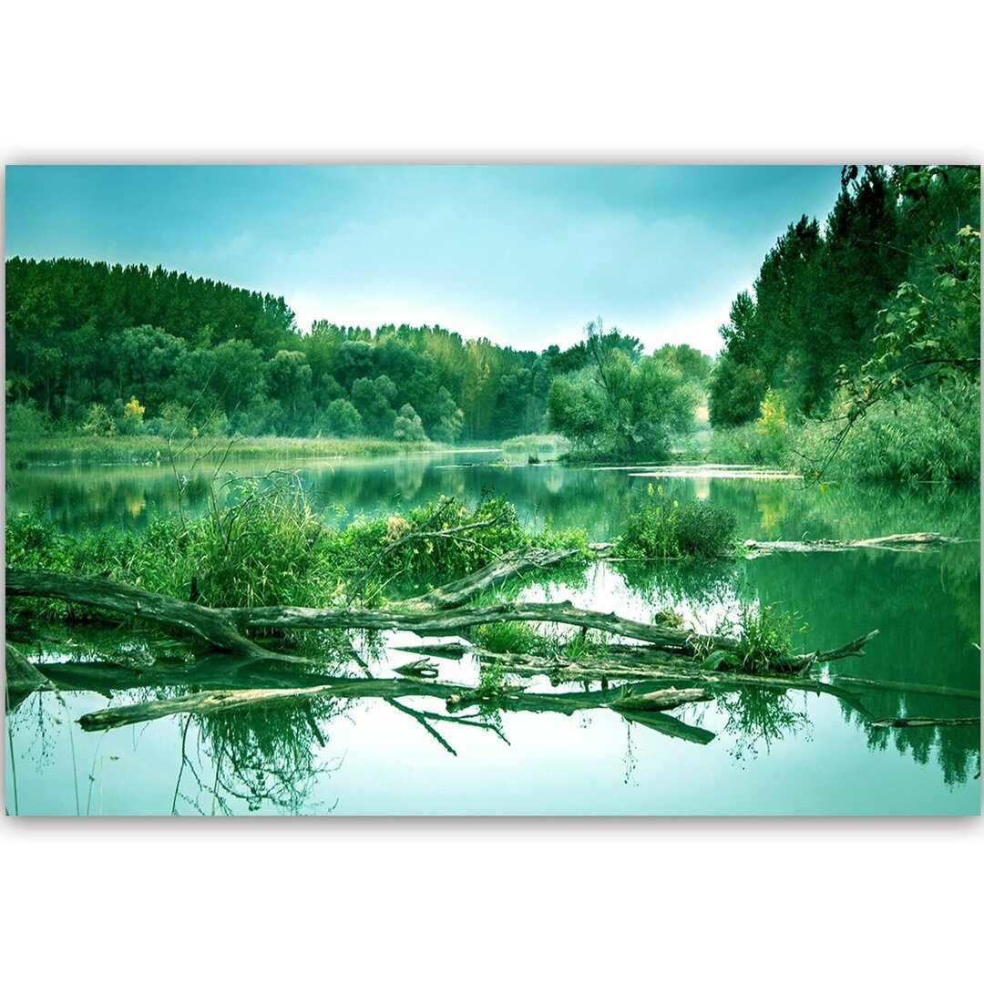 Leinwandbild Umgefallener Baum im See 4