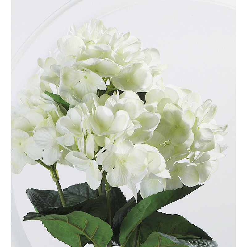 Buissons d’hortensias, Crème