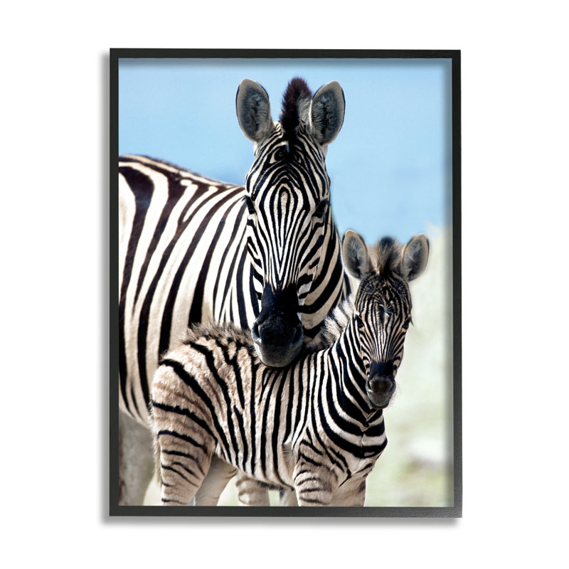 «Uplifting Zebra Family Mother Child Savanna Animals» par Danita Delimont - photographie à cadre flottant sur bois