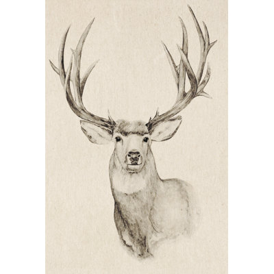 Naturel Buck II