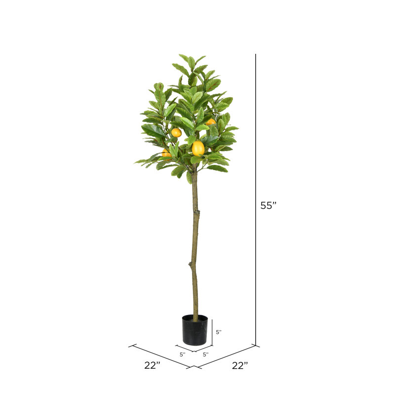 Artificial Potted Lemon Tree, 55" H x 22" W x 22" D