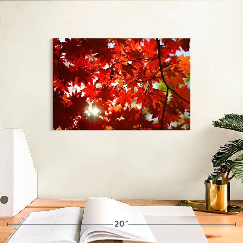 Maple Leaves