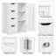 Dalewood Freestanding Bathroom Cabinet