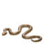 Serpent Animals Decorative Object