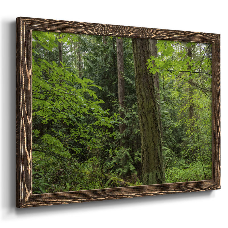 «Calm of the Forest», reproduction d'art sur toile simple, H 28 po x l 42 po, Noyer
