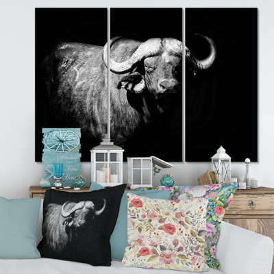 " Monochrome Portrait Of Buffalo I " 3 - Pieces