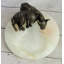 French Bulldog Pug Bronze & Onyx Stone Dish Key Card Holder Soap Tray Sculpture