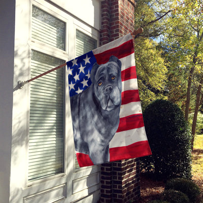 Shahnur Double Sided 40'' H x 28'' W Polyester Independence Day House Flag