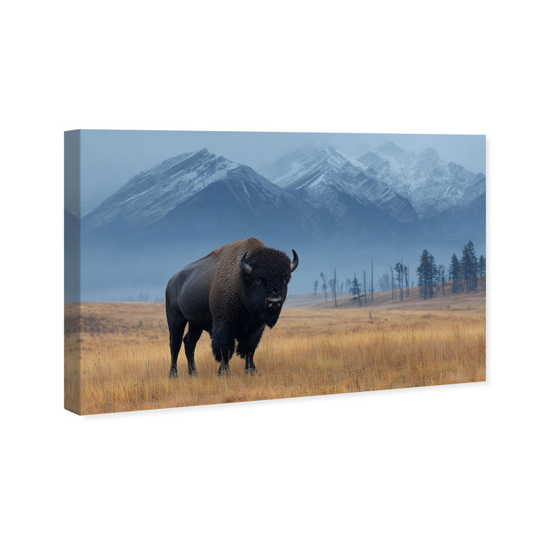 Mountain Bison I Print by Oliver Gal, 24" H x 36" W, Gallery Wrapped