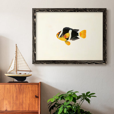 " Tropical Fish Collection II "