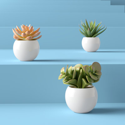 Ensemble de 3 plantes grasses artificielles en pot