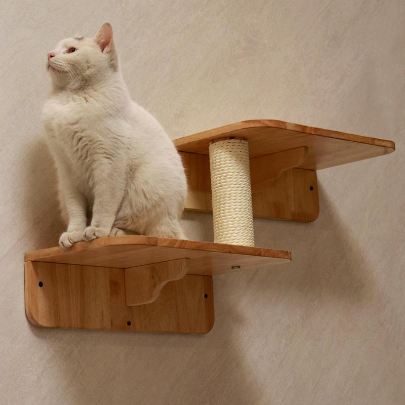  Cat Wall Steps, Cat Ladder, Cat Walks, Cat Climbers for Walls| Rubber Wood