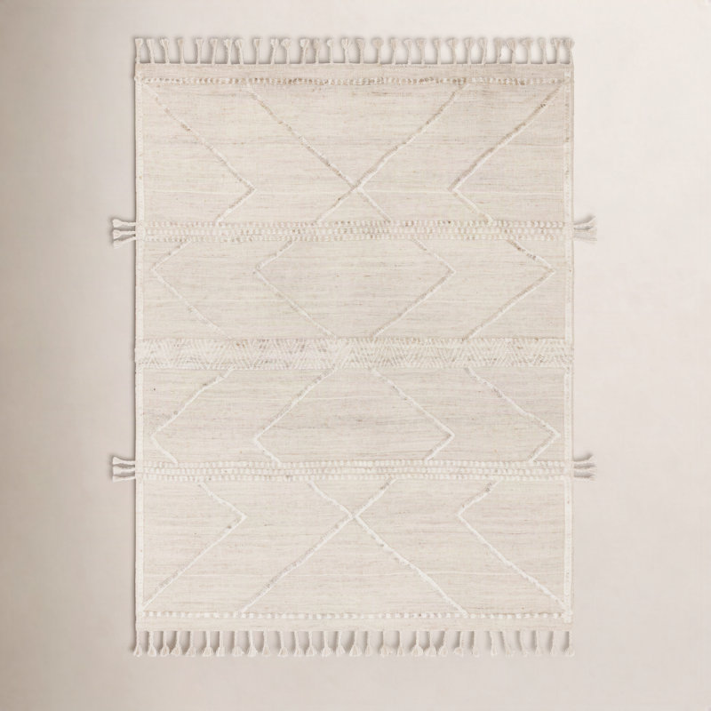 Hanna Hand Knotted Geometric Indoor Rug, Rectangle 4' x 6'