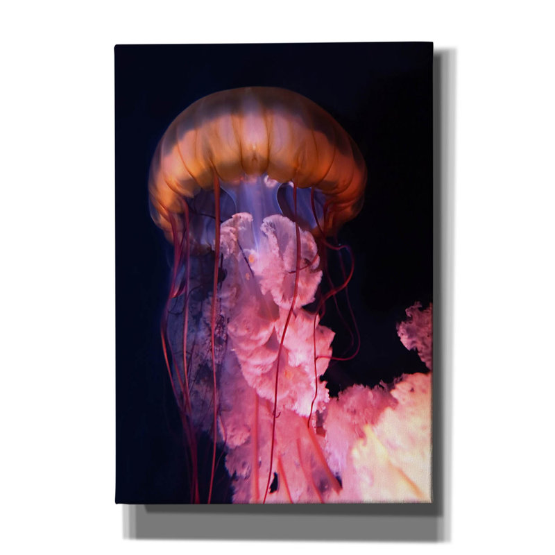 «Gelly» par PhotoINC Studio, H 26 po x l 18 po