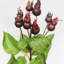 Montana Rose Hip Faux Floral-1231080852-1231080853