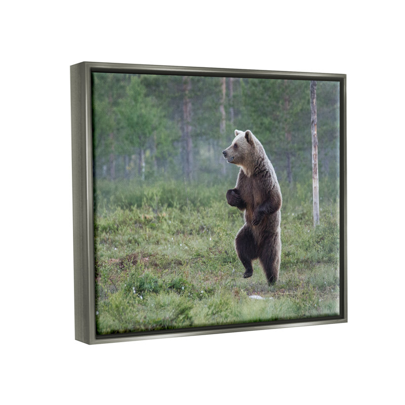 «Dancing Bear In Forest», reproduction d'art encadrée sur toile par Alex Jevon, Cadre flottant gris lustré