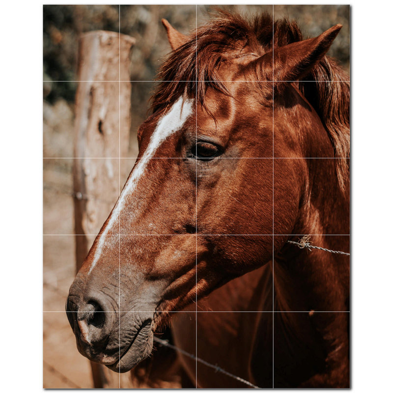 Murale en céramique satinée Horse Photo 8 po x 8 po