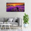 Lavender Field - Wrapped Canvas Print