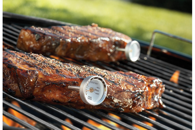 Ultimate Guide to Know the Best Meat Thermometer
