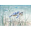 Tortue sous-marine-812390710-881714157-853514909
