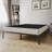 Nickalls 4.92'' Wood Box Spring-701553198